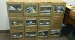 Nem egyszerű eset, amikor a kultúra és a tudomány költözik új helyre