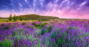 6 program a kapcsolatotok feldobására